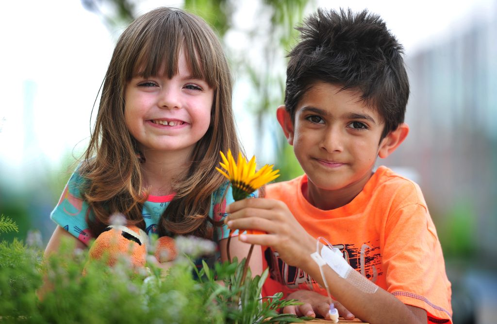 Shakespearean Roof Garden for Royal Manchester Children’s Hospital